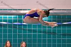 Swimming & Diving vs Babson  Swimming & Diving vs Babson College. - Photo by Keith Nordstrom : Wheaton, Swimming